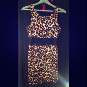 Cheetah print black lace dress